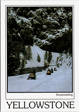 Snowmobiling in Yellowstone National Park Snow Covered Trees River Unposted picture