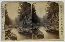 Trenton Falls NY Views from Narrows 4 1/2 x 7 Stereoview J Robert Moore Photo picture