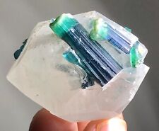 Indicolite Tourmaline Crystal specimen from Afghanistan 250 Carats (F) 2 picture