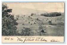 1906 Green Fields of Old Virginia Lynchburg VA Football Posted Antique Postcard picture
