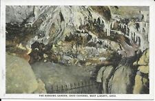 Postcard c1910s The Hanging Garden Ohio Caverns West Liberty Ohio OH picture