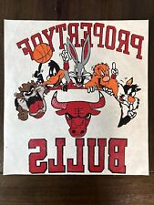 RARE Vintage 1990s 90s Chicago Bulls Looney Tunes Bootleg T Shirt Heat Transfer picture