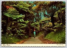 Fern Forest Jungle Hawaii Volcanoes National Park Postcard Pretty Woman Tropical picture