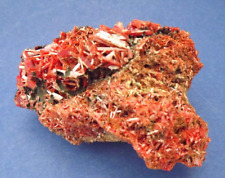 Great Well Formed Specimen Of Crocoite picture