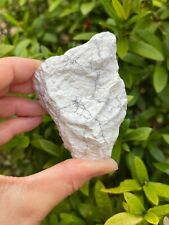 Large White Howlite Rough Natural Stones, 2-3.5
