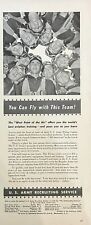 Rare 1940's Vintage Original US Army Flying Cadets West Point of Air AD WW2 ERA picture
