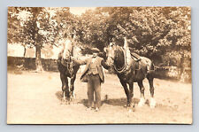 RPPC Man Stands with Two Large Horses Rigged Real Photo Postcard picture