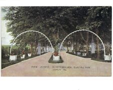 c1910 Main Avenue Schifferdecker Electric Park Joplin Missouri MO Postcard picture