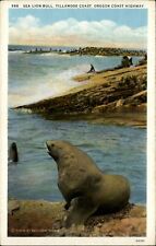 Oregon Tillamook Coast Sea Lion Bull ~ 1920s vintage postcard sku253 picture