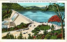 Clinch River TN-Tennessee, T.V.A Proposed Norris Dam, Lake, Vintage Postcard picture