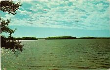 Vintage Postcard- Strawberry Island on Flambeau Lake, Flambeau, WI picture