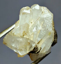 41.50 CT Hand Shaped Unusual Terminated Natural Quartz Crystals Bunch Specimen picture