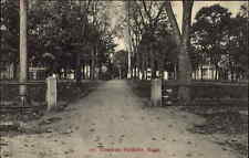 Foxboro Massachusetts MA Town Common c1910 Vintage Postcard picture