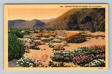 CA-California, Scenic View Springtime On The Desert, Vintage Postcard picture