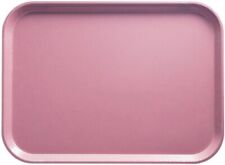 Camtray, Rectangular, 14'' X 18'' Fiberglass Tray Selling In Each 1418409 picture