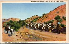 postcard Rounding Up Herefored Cattle on a West Texas Range picture