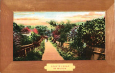 Postcard Art Country Road By Wilson Postmarked 1909 picture