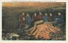 Coal Miners Petrified Tree Stump Scranton PA? Vintage PC Unused picture