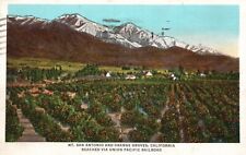 Postcard CA Mt San Antonio & Orange Groves Posted 1941 Linen Vintage PC H2397 picture