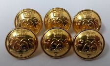Genuine British Army No1 / No2 Dress Grenadier Guards Officers Buttons 30L 0526 picture