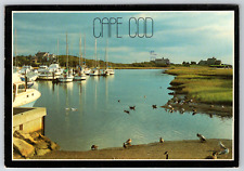 c1960s Cape Cod Inlet Chatham Massachusetts Seagulls Vintage Postcard picture