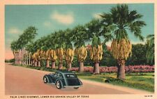 Postcard TX Lower Rio Grande Valley Palm Lined Highway Linen Vintage PC e2107 picture