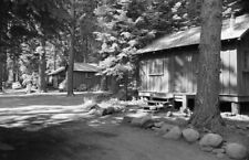 Cabins at Lake of the Woods Oregon 1950s view OLD PHOTO picture