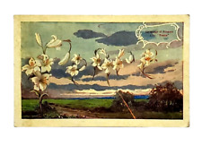 Language of Flowers Lilies Spell Out Peace 1909 Postcard picture