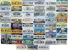 All 50 State License Plate Metal Novelty Fridge Magnets Plus Washington D.C. picture