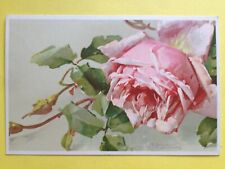 CPA t.s.n. illustration litho signed catherine klein rose flower flower rose pink picture