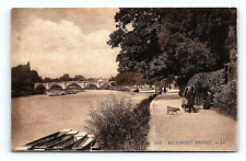 Richmond, London Twickenham UK Postcard  River Thames Boats Dog  pc53 picture