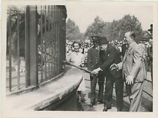 26 July 1943 press photo of Winston S. Churchill feeding his lion, Rota picture