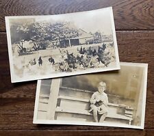 Knitting 1918 Girl on Porch Step & Chickens on the Farm 2 Antique Vintage Photos picture