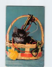 Postcard Cute Kitten in a Basket picture