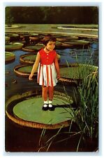 Longwood Gardens Kennett Square PA Pennsylvania Girl on Giant Lily Pad Leaf E6 picture