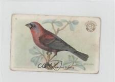 1922 Arm & Hammer Useful Birds of America Series 3 Varied Bunting #4 0b0 picture