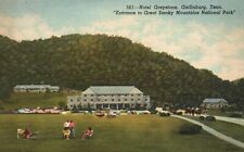 Vintage Postcard 1965 Hotel Greystone Gatlinburg Tennessee Great Smoky Mountains picture