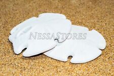 White Real Arrowhead Sand Dollar Sea Shell Craft Weddings 3
