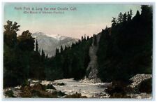 1909 View Of North Folk At Long Bar Near Oroville California CA Antique Postcard picture