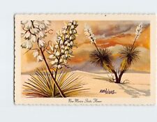 Postcard Beautiful Yucca State Flower of New Mexico USA picture