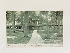 1906 Antique Vintage Postcard Rustic Bridge near Amphitheatre CHAUTAUQUA NY picture