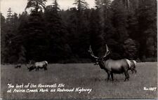 Vtg Roosevelt Elk Prairie Creek Park Redwood Highway CA RPPC Real Photo Postcard picture