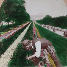 1897 EDINBURGH SCOTLAND EAST PRINCESS STREET GARDENS FLOWERS STEREOVIEW 28-25 picture