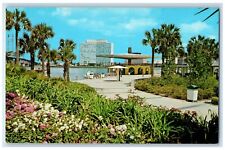 c1960's View Of Jacksonville Marina Flowers Jacksonville Florida FL Postcard picture