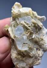 377 Cts Terminated Aquamarine Crystals bunch  with Mica From SkarduPakistan picture