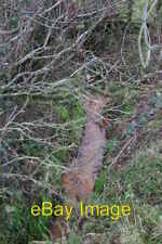 Photo 6x4 Iron Stained Beck Croasdale This small beck is heavily stained  c2005 picture