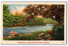 1941 Greetings From Lake River Trees Fish Haven Idaho Vintage Antique Postcard picture