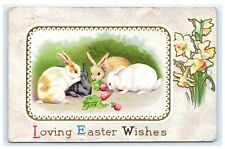 Loving Easter Wishes Rabbits Bunnies Eating Carrots Embossed Postcard C8 picture