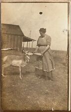 Lead South Dakota Farmer Woman Bottle Feeding Antelope Vintage Postcard c1910 picture