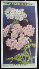 1923 W.D. & H.O. Wills Tobacco Card Wild Flowers #49 Yarrow VG/EX picture